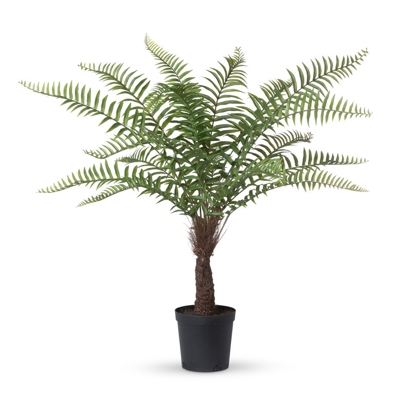 Faux Fern Tree in Pot, 4'