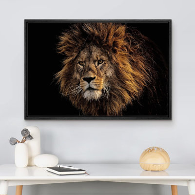 Animals " African Safari Jungle Lion "