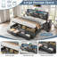 Beisel Upholstered Ottoman Bed
