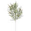 SEASONAL GREENERY STEM S/4 PINE 36IN