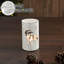 Porte-bougie festive trouvailles renne blanc-179853378