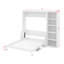 Lit escamotable double avec bureau et bibliothèque-82047643-82047652