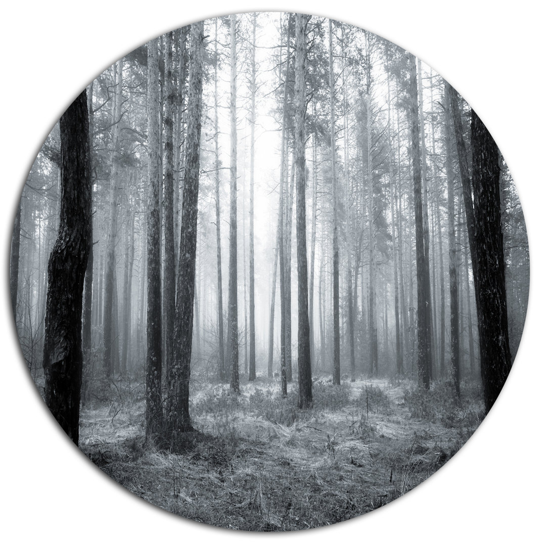 'Black and White Foggy Forest' Photographic Print on Metal Design Art 