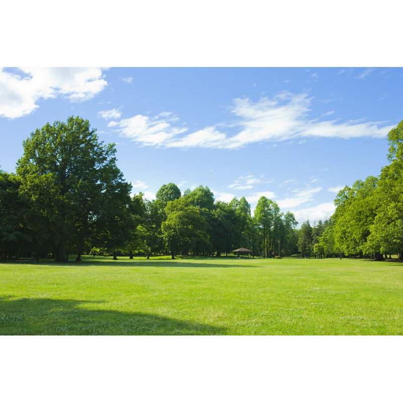 Sunny Garden by Wat - Wrapped Canvas Print, 30cm H x 46cm W x 3.8cm D