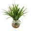 Robblee Faux Foliage Grass in Glass Vase