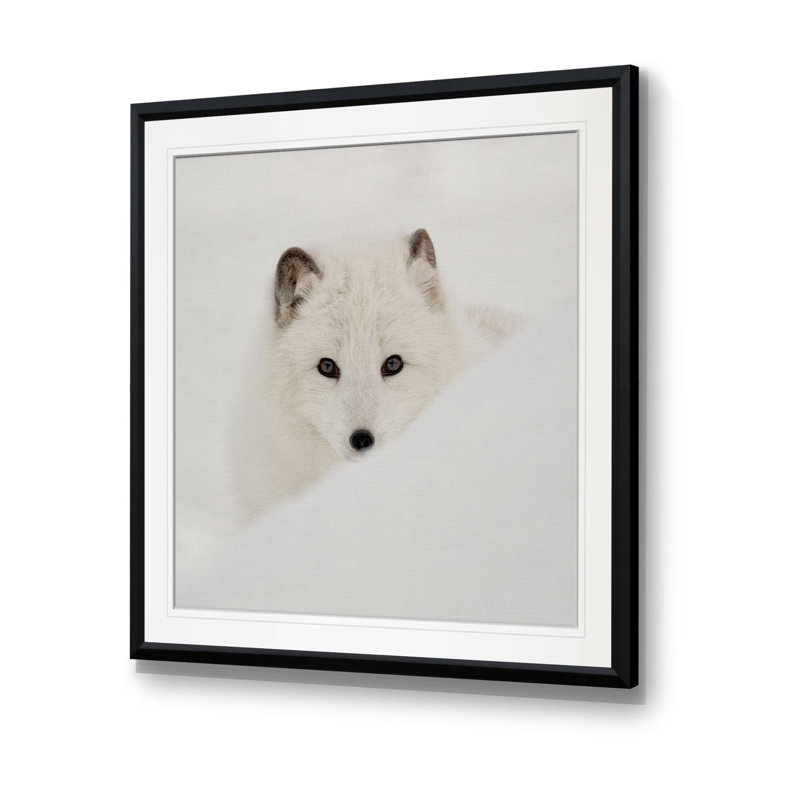 «Arctic Fox», reproduction de photo, H 23 po x l 23 po x p 1,5 po, Cadre noir