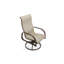 Seagrove II Outdoor Dining Armchair