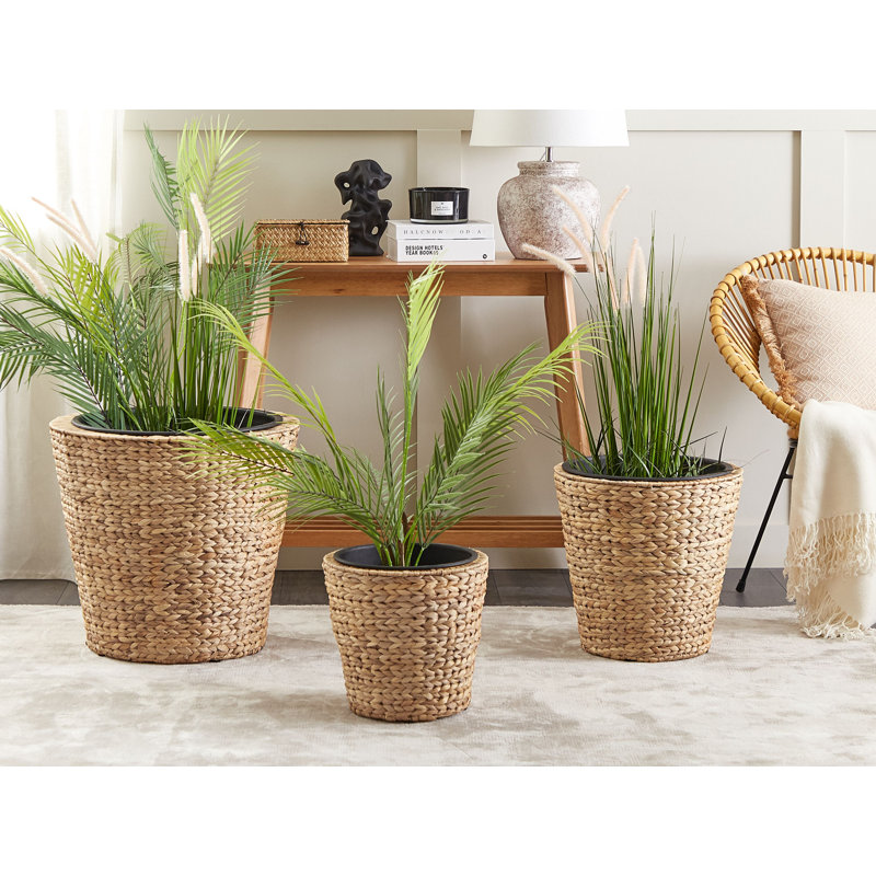 Niwot Plant Pot