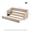 Antwerp Upholstered Daybed with Trundle-693517212