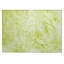 Tapis extérieur lavable antidérapant 2 pi x 3 pi vert lime