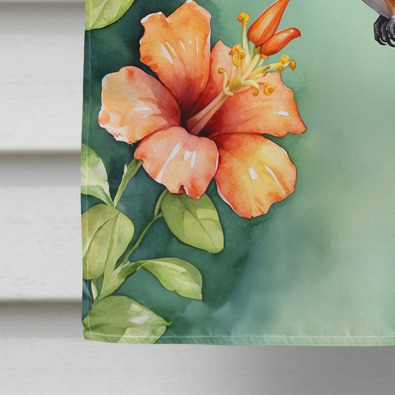 House Flag, Rufous Hummingbird