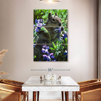 Brampt Lupine Eating Squirrel