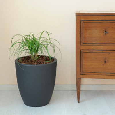 Grezzju Planter