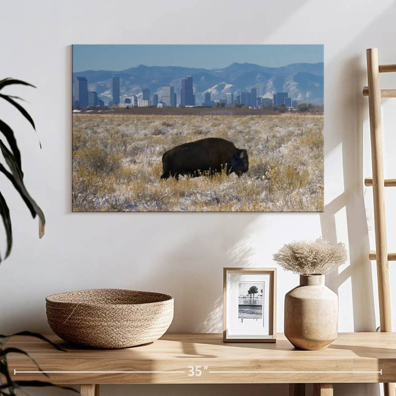 Brampt Denver Bison, 16" H x 24" W