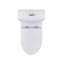 Toilette allongée une pièce à double chasse 1,1 / 1,6 GPF, hauteur confortable, conception économiseur d'eau, CARTE 1000 g-112665671