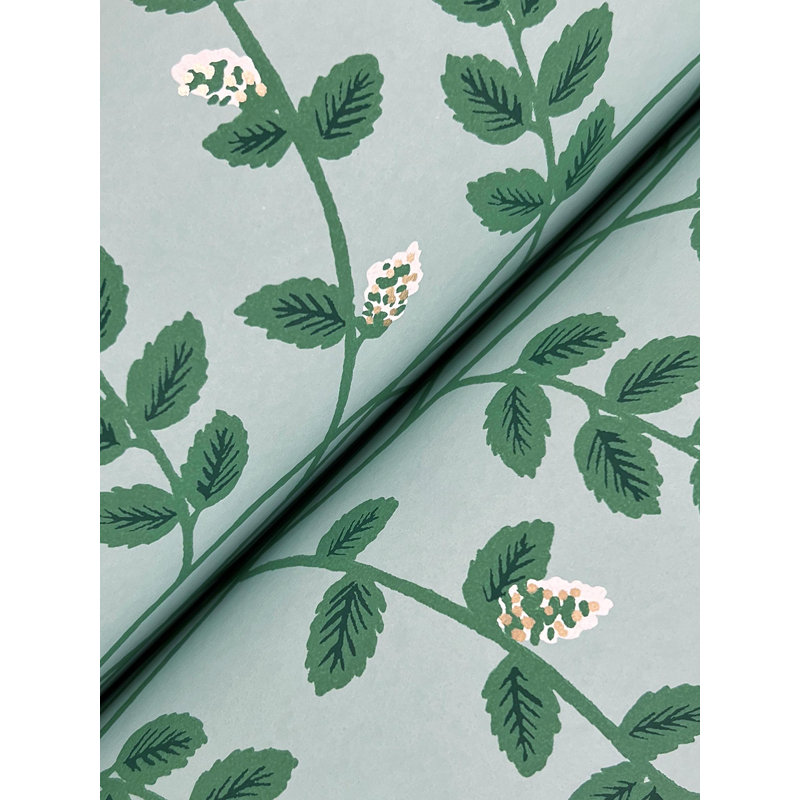 Climbing Vine Wallpaper, Soft Teal