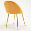 Persephone 46cm H Velvet Upholstered Queen Anne Back Side Chair-293959434