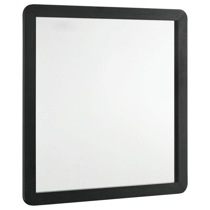 Lenny Mirror
