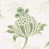 Leaf Green