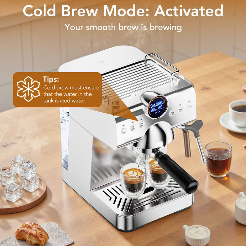 Professional Ice&Hot Coffee Maker with 20Bar Pump,58mm Brew Head,Coffee Machine for Espressno,Cold Brew,Latte,Americano,Silver