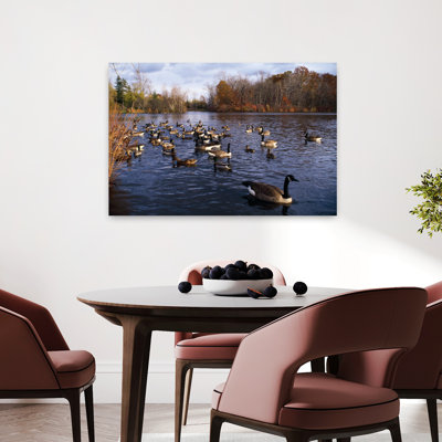 Bernaches du Canada, Branta Canadensis et canards colverts Anas Platyrhynchos nageant sur un étang, New York, États-Unis Oiseau canard contemporain