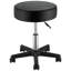 Adjustable Height Ergonomic Industrial Stool