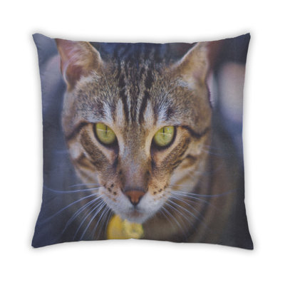 Coussin Cat Cats 55