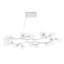 Mahowald Fixed Chandelier
