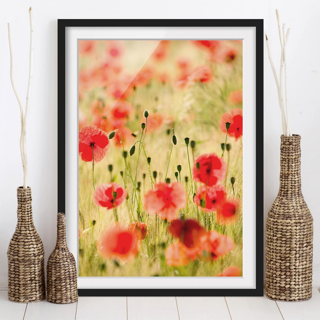 Gerahmtes Poster Sommerliche Mohnblumen