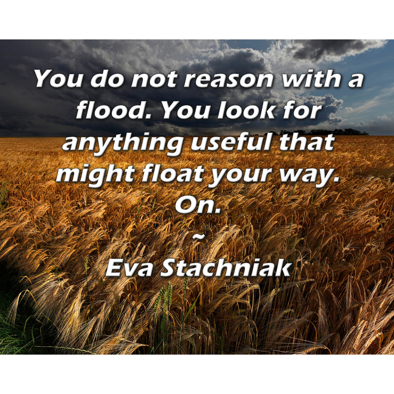 ArtsyQuotes Gallery Wrapped Canvas By Eva Stachniak: "You do not reason with a flood. You look for anything useful that might float your way. On."