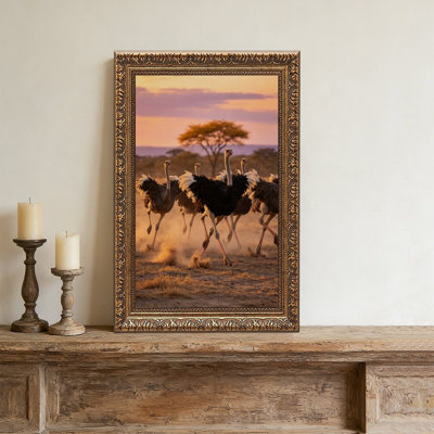Ostriches SunsetOrnate Vintage - cadre décoratif doré