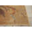 Asifa Floral Indoor Rug-209414983