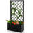 Shandia Metal Planter Box with Trellis-285982466-285982467