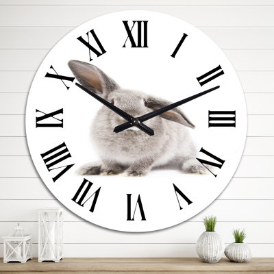 Portrait d'un lapin sur blanc II - Horloge murale traditionnelle
