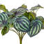  Buisson Piccolo artificiel 11 po 11 po, 2 par sac