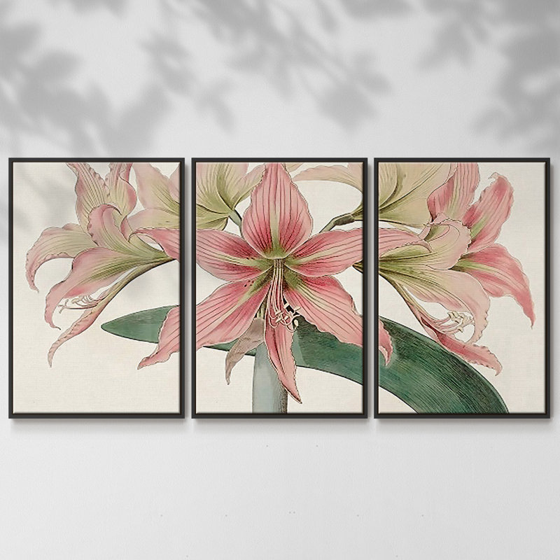 Amaryllis Varietals I 3 pièces, Noir, H 24 po x l 48 po x P 2 po