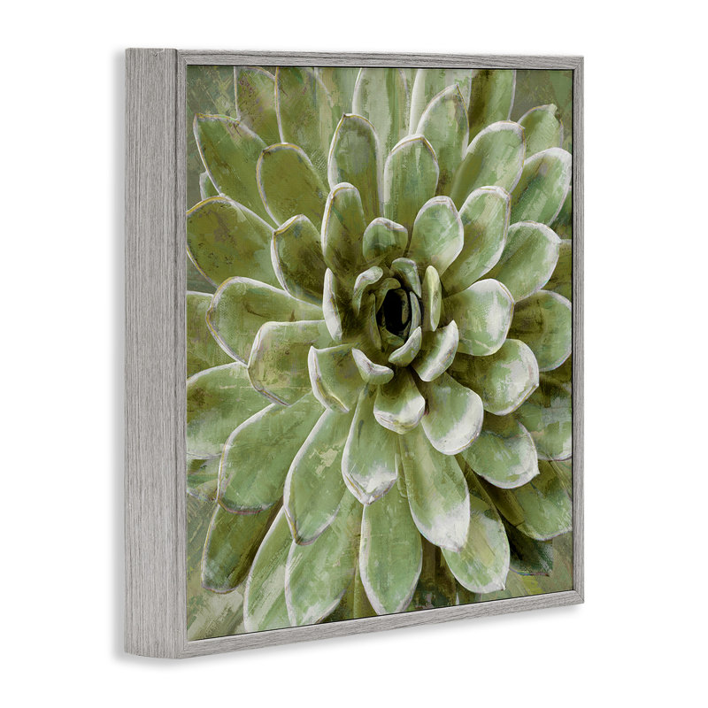«Painted Botanical Succulent Bloom», impression, H 12 po x l 12 po, Estampe numérique Farmhouse