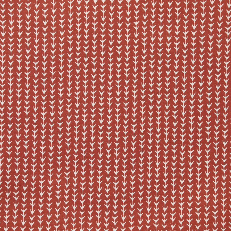 Tissu scout