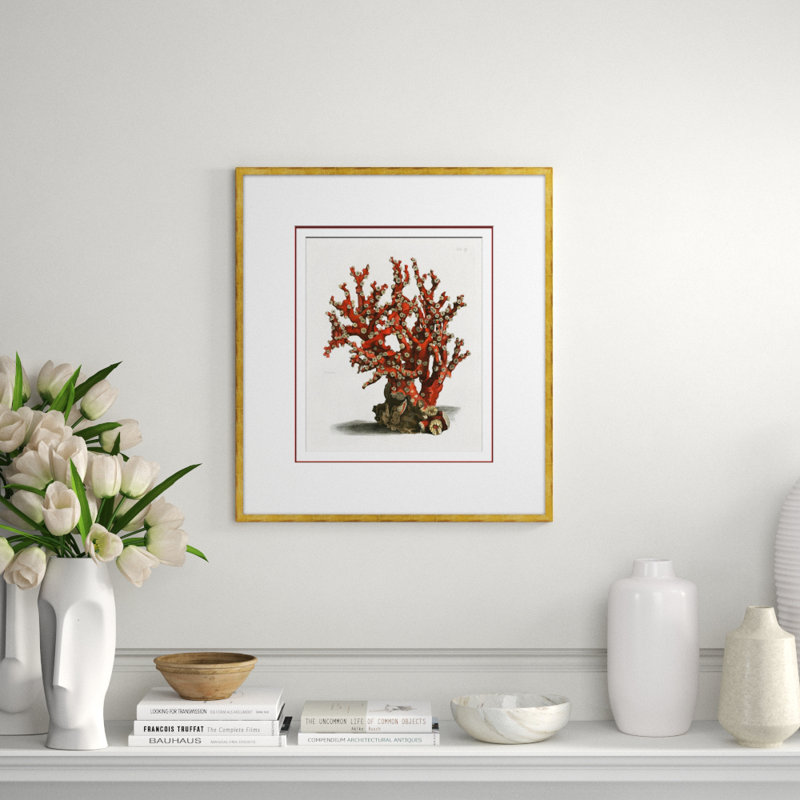 Coral In Red 3 Giclee Print by Soicher Marin Archives