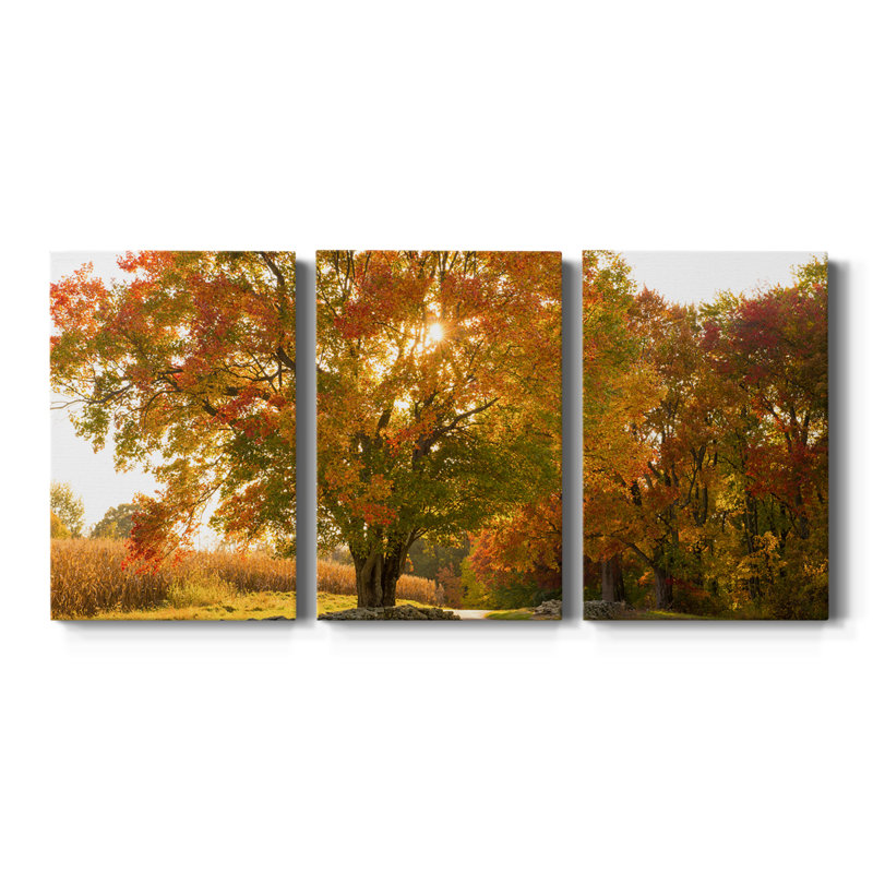 " Maple Tree Drive " 3 - Pieces, 12" H x 24" W x 1" D