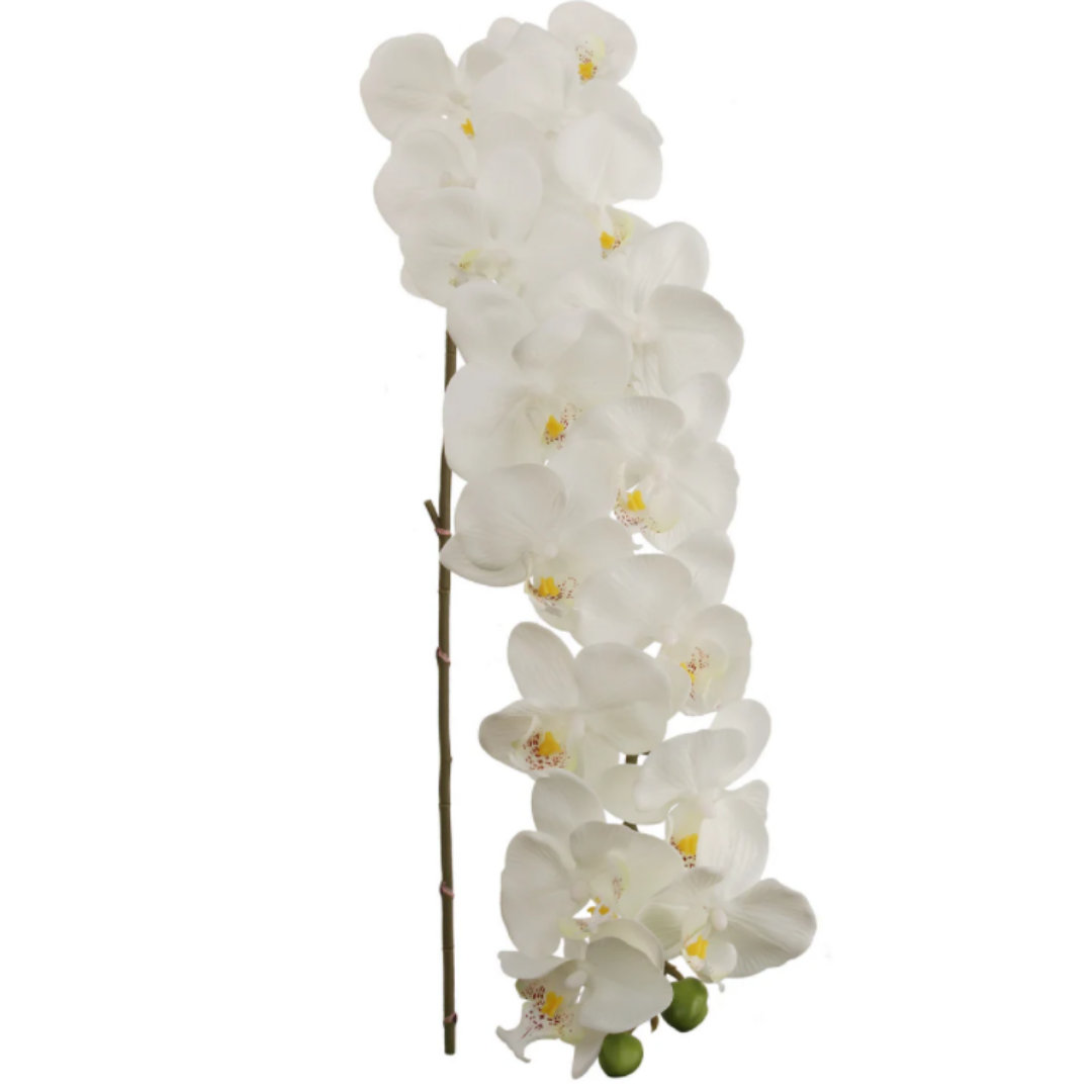 Massive Phalaenopsis Orchid Faux Florals Primrue Flowers/Leaves 