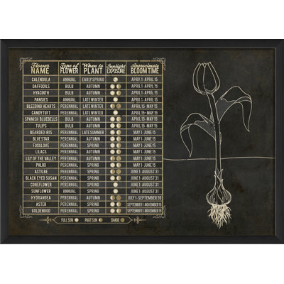 « fleur chart », art mural encadré