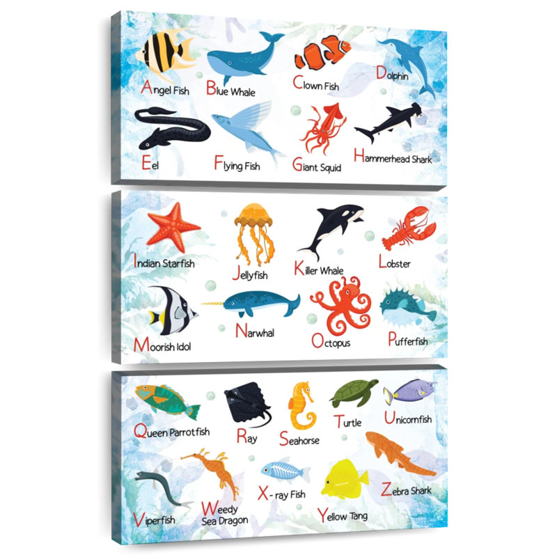 Carte de l'alphabet Sea Life, H 57 po x l 36 po
