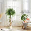 Plant-457073753