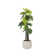 Artificial Elephant Ear Tree In A Shell Designed Fiberstone Planter