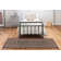 Atterbury Oriental Indoor Rug