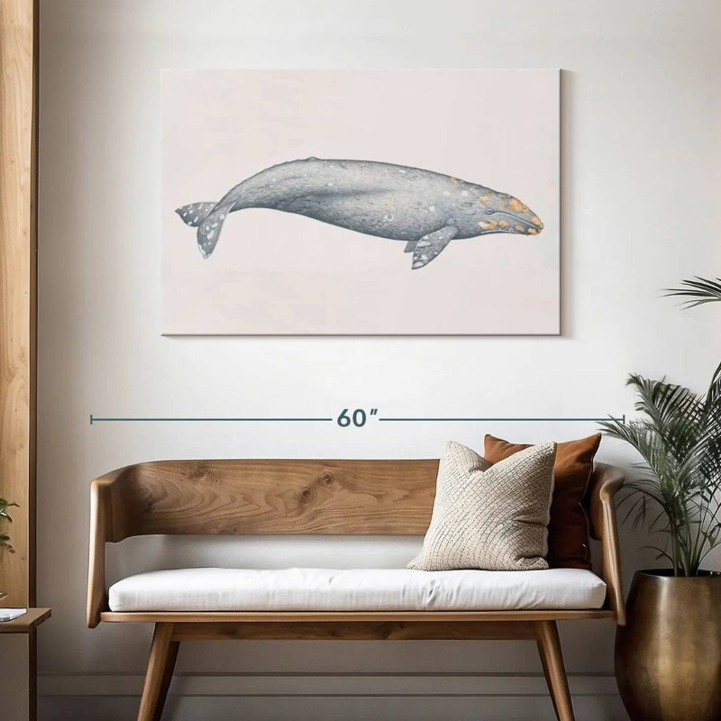 Brampt Gray Whale, 30" H x 45" W