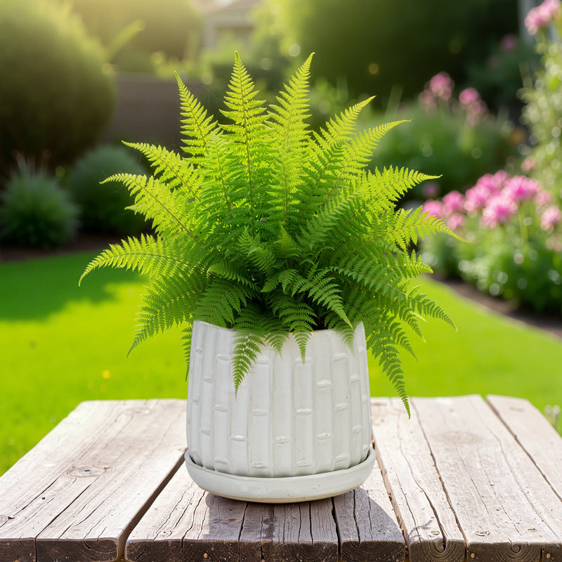 Ensemble de 2 pots de fleurs décoratifs pour l'intérieur et l'extérieur 8 po, Blanc antique