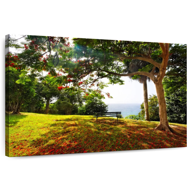 Banc Kavia sous un arbre flamboyan Borinquen Point, H 16 po x l 24 po
