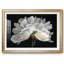 «Morning Light», impression sur papier encadrée-1460175232-1460175233